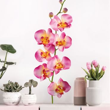 Wall sticker - No.177 Orchid Rose II