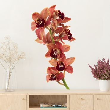 Wall sticker - No.180 Orchid White Red II