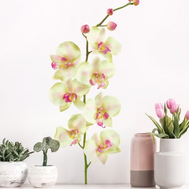 Wall sticker - No.190 Orchid White II