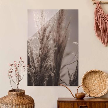Glass print - Pampas Grass In Late Fall
