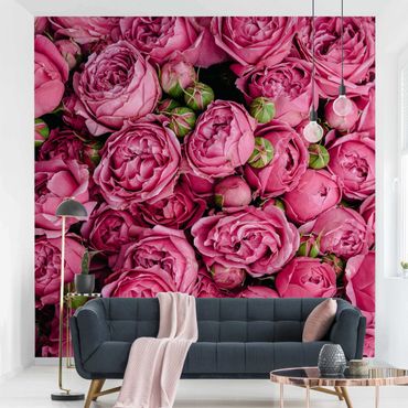 Wallpaper - Pink Peonies