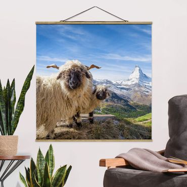 Fabric print with poster hangers - Blacknose Sheep Of Zermatt - Square 1:1