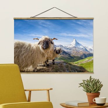 Fabric print with poster hangers - Blacknose Sheep Of Zermatt - Landscape format 3:2