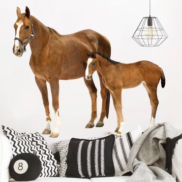 Wall sticker - Mare & foal