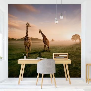 Wallpaper - Surreal Giraffes
