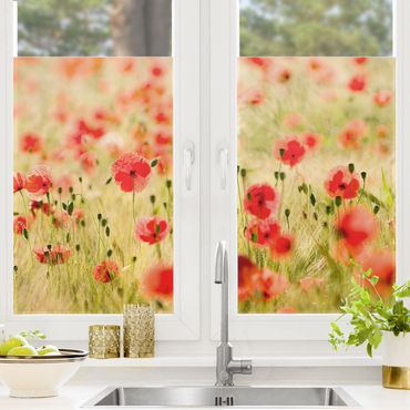 Window decoration - Summer Poppies