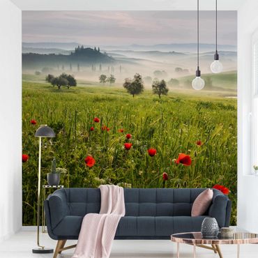 Wallpaper - Tuscan Spring