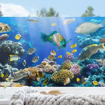 Window decoration - Underwater Reef