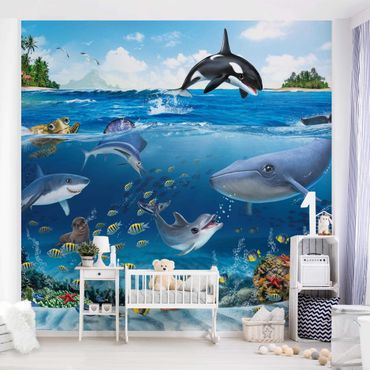 Wallpaper - Animal Club International - Underwater World With Animals