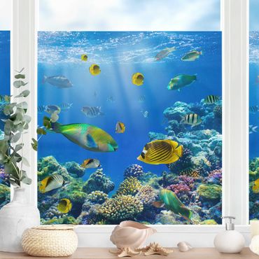 Window decoration - Underwater Lights
