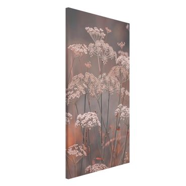 Magnetic memo board - Wild Apiaceae