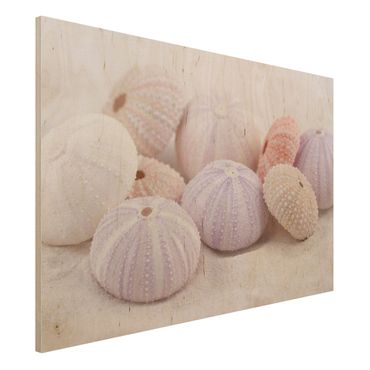 Print on wood - Sea Urchin In Pastel