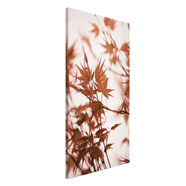 Magnetic memo board - Maple Leaf In Autumn Sun