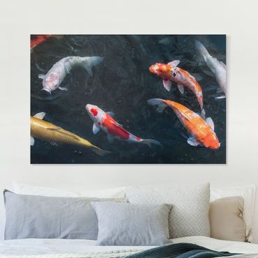 Print on canvas - Kois In A Pond