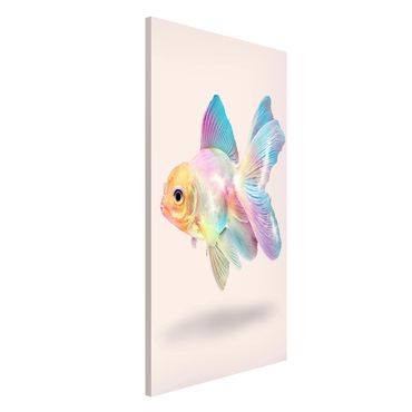 Magnetic memo board - Fish In Pastel