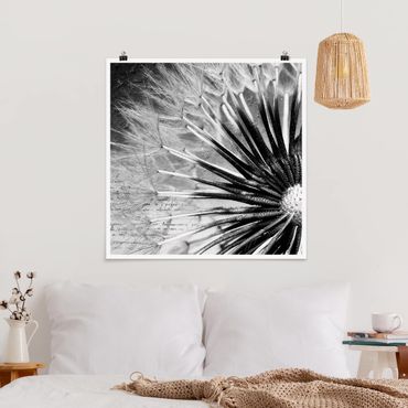 Poster - Dandelion Black & White