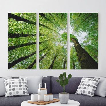 Print on canvas 3 parts - Trees Of Life