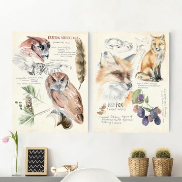Print on canvas - Wilderness Journal Owl And Fox Set I