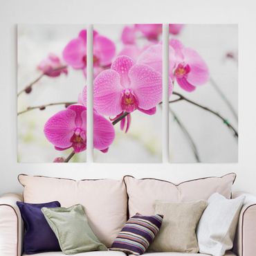 Print on canvas 3 parts - Close-Up Orchid