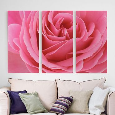 Print on canvas 3 parts - Lustful Pink Rose
