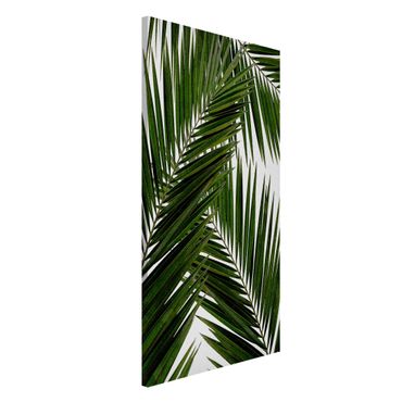 Magnetic memo board - View Through Green Palm Leaves