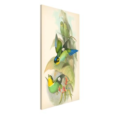 Magnetic memo board - Vintage Illustration Tropical Birds
