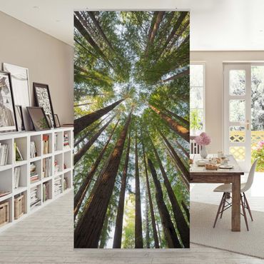 Room divider - Sequoia Tree Tops