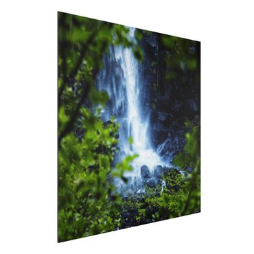 Print on aluminium - View Of Waterfall