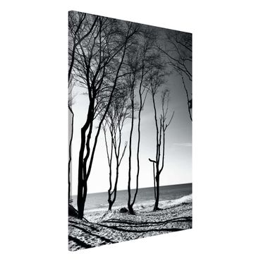 Magnetic memo board - Trees At the Baltic Sea