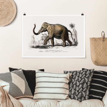 Poster - Vintage Board Elephant
