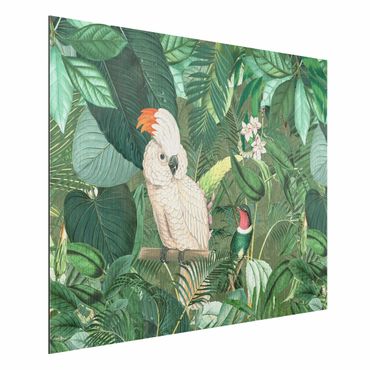 Print on aluminium - Vintage Collage - Kakadu And Hummingbird