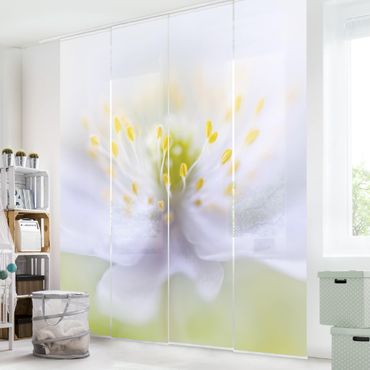 Sliding panel curtains set - Anemone Beauty