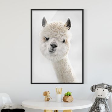 Framed poster - Alpaca Portrait