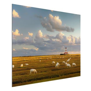 Print on aluminium - North Sea Lighthouse With Flock Of Sheep