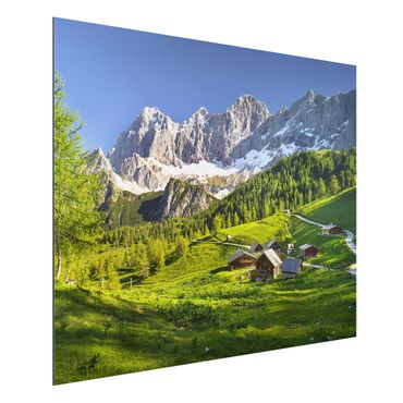 Print on aluminium - Styria Alpine Meadow