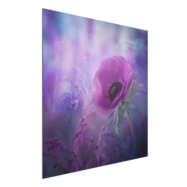 Print on aluminium - Anemone In Violet