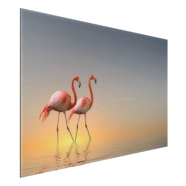 Print on aluminium - Flamingo Love