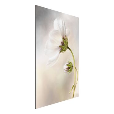 Print on aluminium - Heavenly Flower Dream