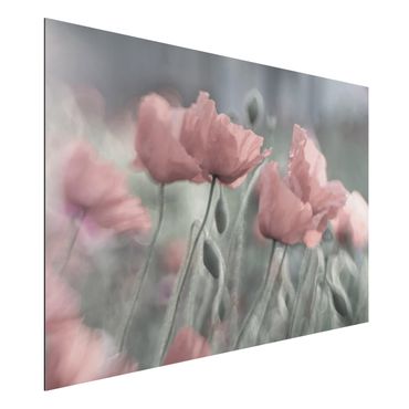 Print on aluminium - Picturesque Poppy