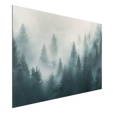 Print on aluminium - Coniferous Forest In Fog