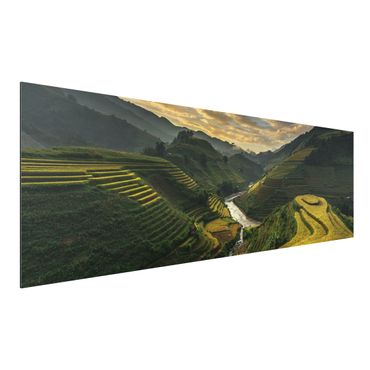 Print on aluminium - Rice Plantations In Vietnam