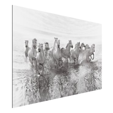 Print on aluminium - White Horses In The Ocean