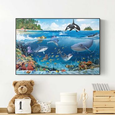 Print with acoustic tension frame system - Animal Club International - Underwater World With Animals