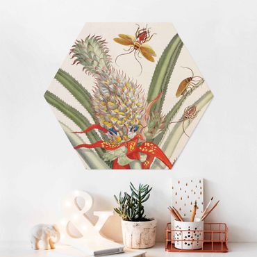 Forex hexagon - Anna Maria Sibylla Merian - Pineapple With Insects