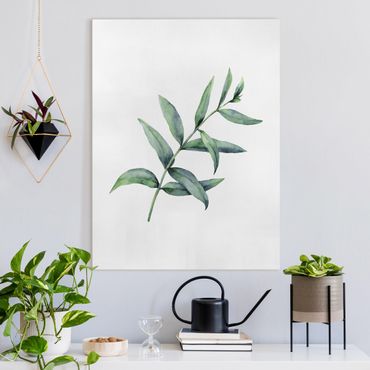 Canvas print - Waterclolour Eucalyptus l