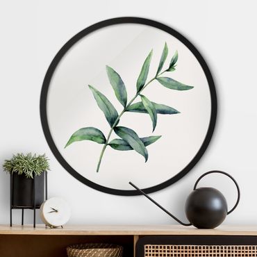 Circular framed print - Waterclolour Eucalyptus l