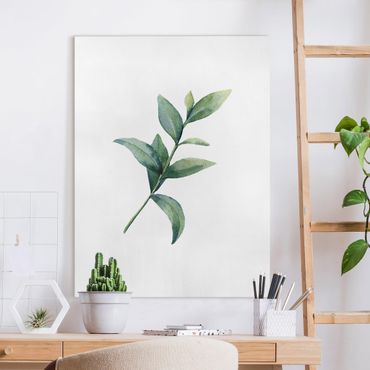 Canvas print - Waterclolour Eucalyptus ll