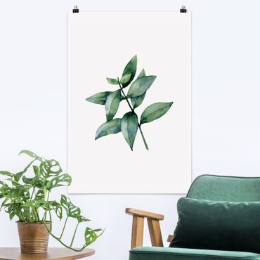 Poster - Waterclolour Eucalyptus lll