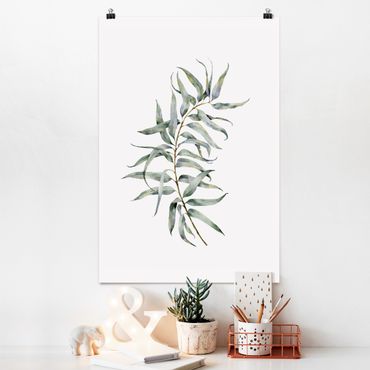 Poster - Waterclolour Eucalyptus lV