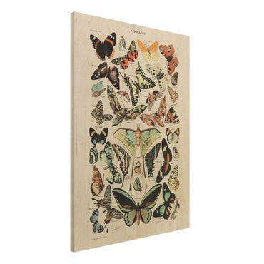 Print on wood - Vintage Board Butterflies And Moths